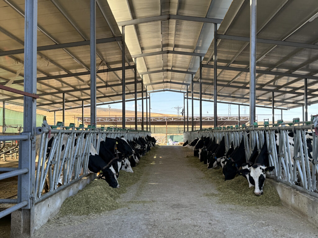 Zemin Kaplama Kauçukları