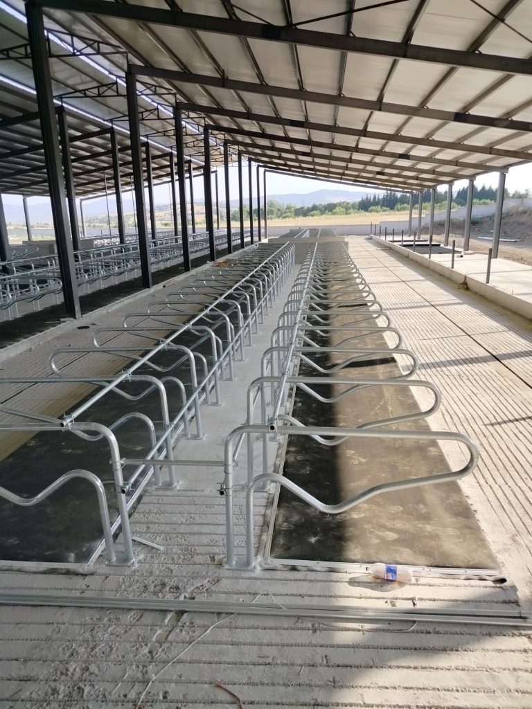 Çift Katmanlı (Süngerli) İnek Yatağı